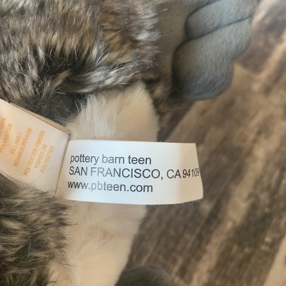 Pottery Barn Teen Rockin Push Raccoon Speaker - Picture 9 of 11